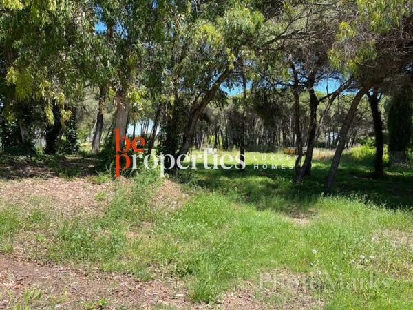 Terreno en camino Pineda