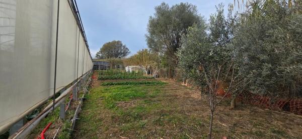 Terreno en Gavà Mar