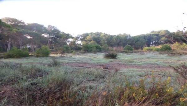 Terreno en camino de la Caseta d'en Nicasi