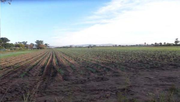 Terreno en camino de la Caseta d'en Nicasi