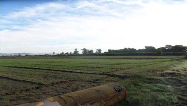 Terreno en camino de la Caseta d'en Nicasi