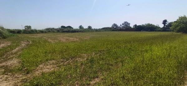 Terreno en Les Marietes s/n