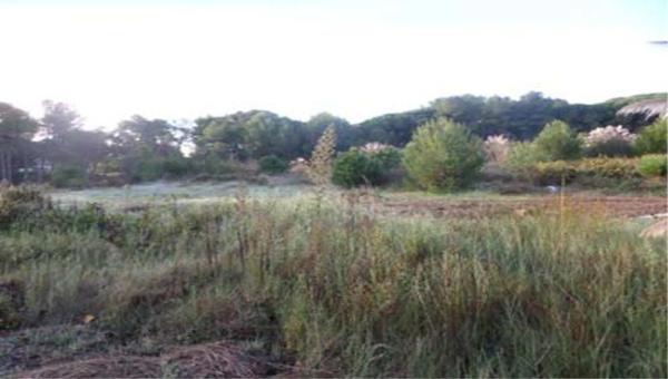 Terreno en camino de la Caseta d'en Nicasi