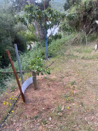 Terreno en Bruguers - La Sentiu