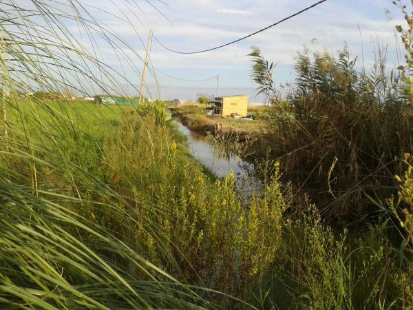Terreno en camino de les Parets a la Murtra, 1