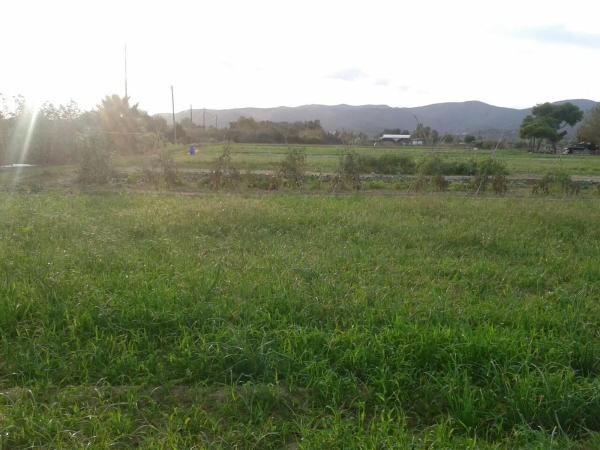 Terreno en camino de les Parets a la Murtra, 1