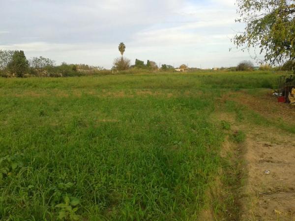 Terreno en camino de les Parets a la Murtra, 1