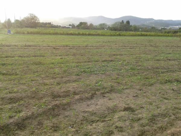 Terreno en camino de les Parets a la Murtra, 1