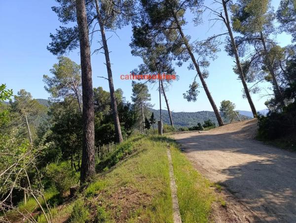 Terreno en calle Tossa