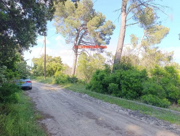 Terreno en calle Tossa