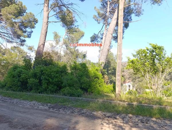 Terreno en calle Tossa