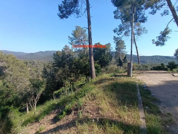 Terreno en calle Tossa