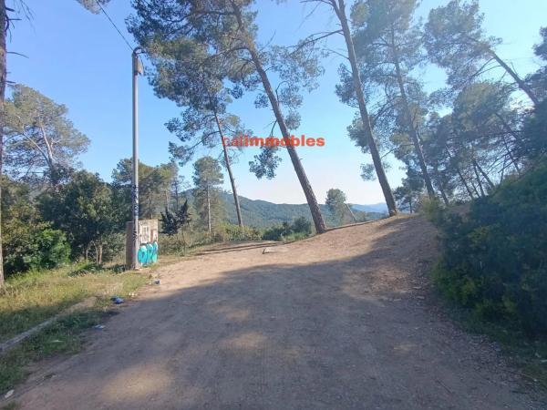 Terreno en calle Tossa