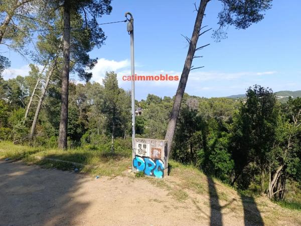 Terreno en calle Tossa