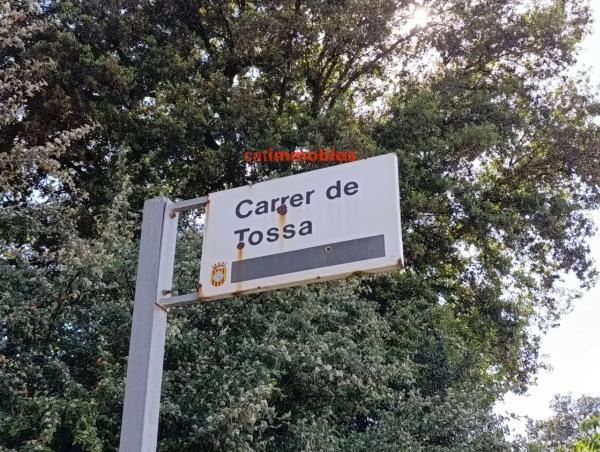 Terreno en calle Tossa