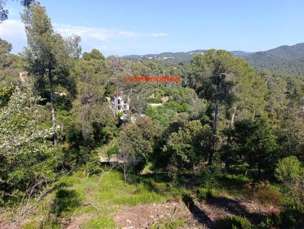 Terreno en calle Tossa