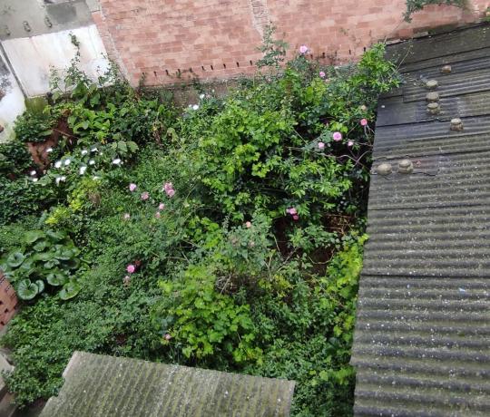 Terreno en C/Pep Ventura, 3