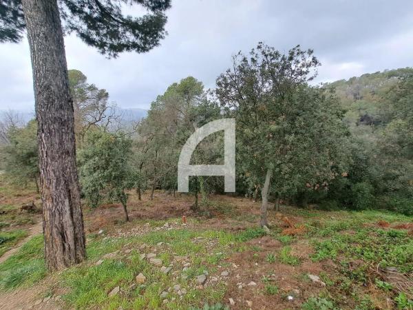 Terreno en calle del Canigó