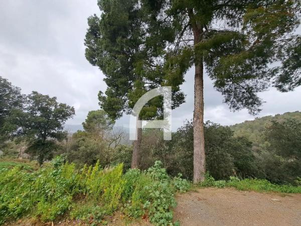 Terreno en calle del Canigó