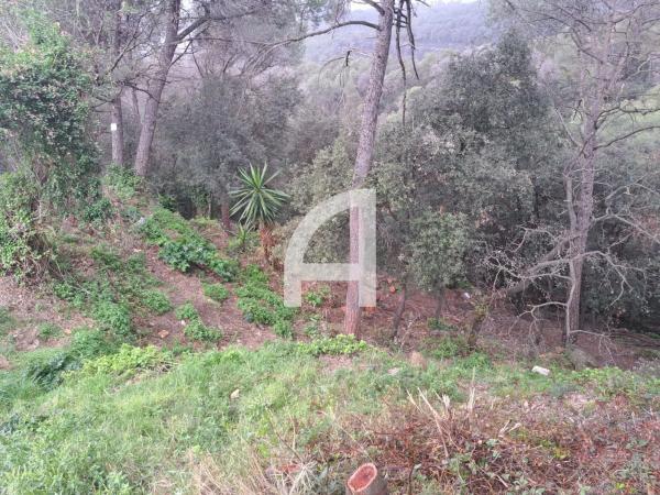 Terreno en calle del Canigó