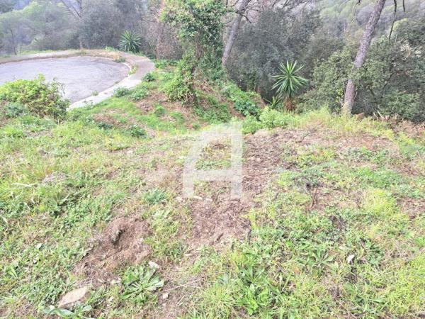 Terreno en calle del Canigó
