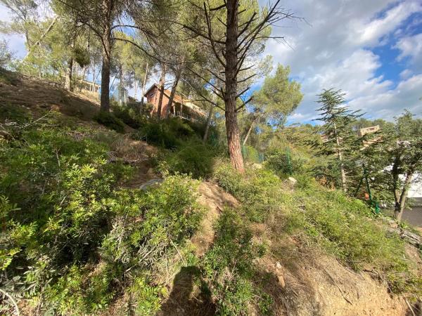 Terreno en carretera de la Rierada, 22