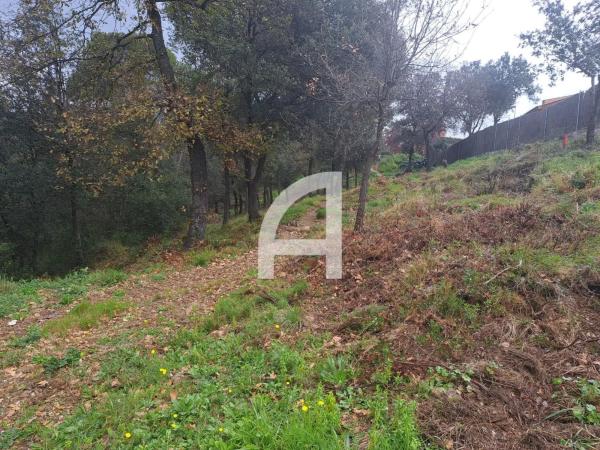 Terreno en calle del Canigó