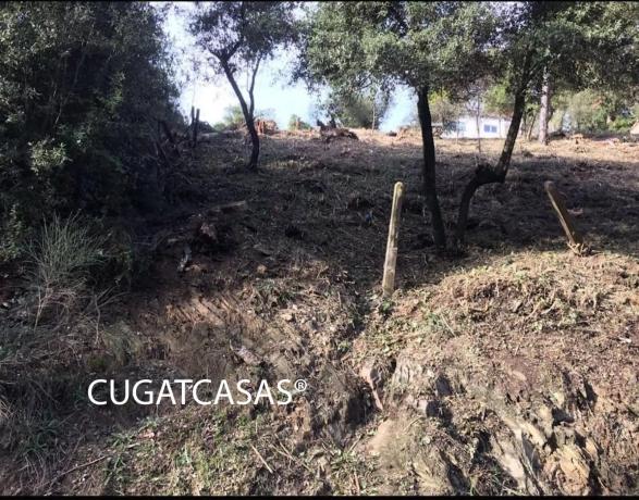 Terreno en Barranc del llop