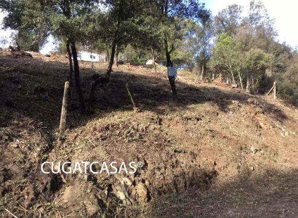 Terreno en Barranc del llop