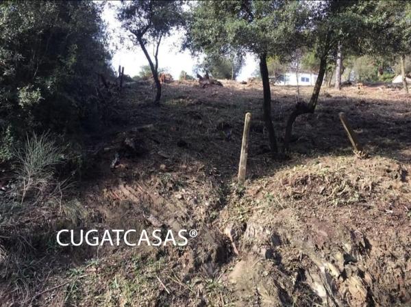 Terreno en Barranc del llop