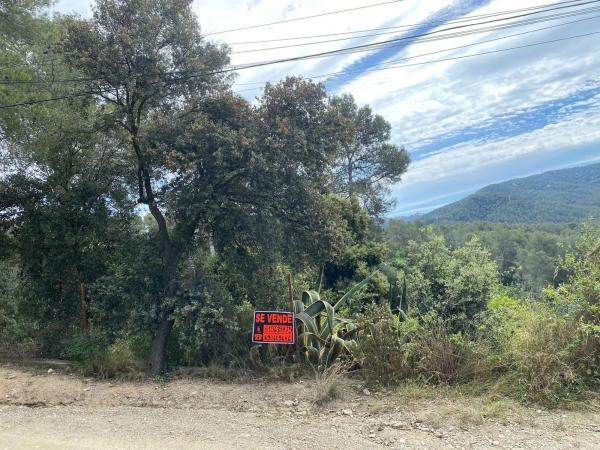 Terreno en calle Sol, 25