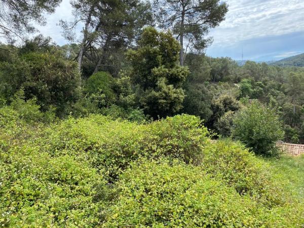 Terreno en calle Sol, 25