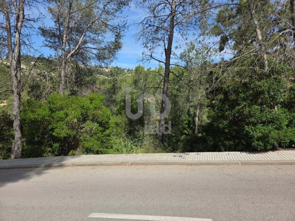 Terreno en Olesa de Bonesvalls