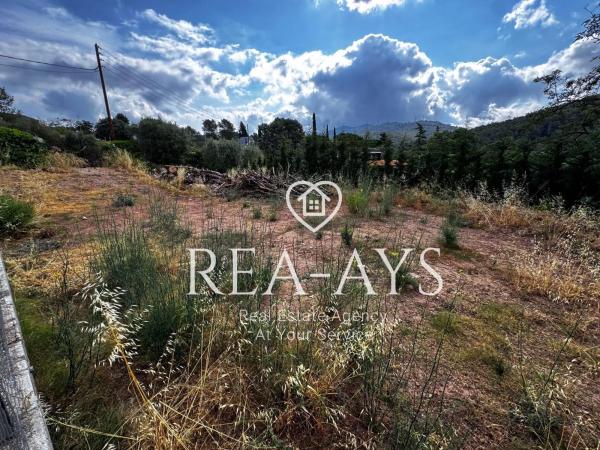 Terreno en Olesa de Bonesvalls