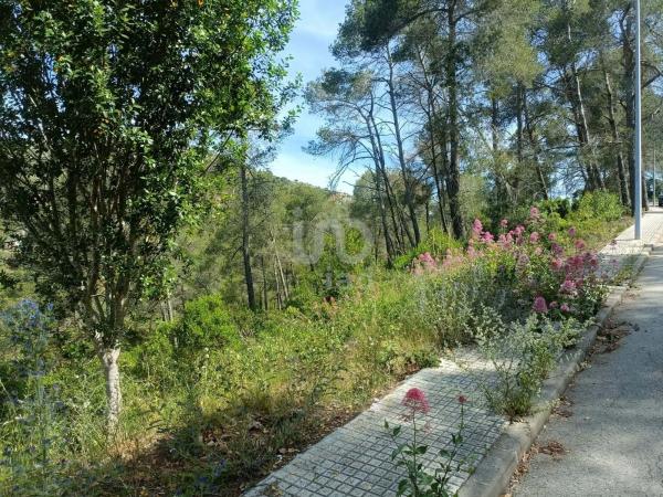 Terreno en Olesa de Bonesvalls