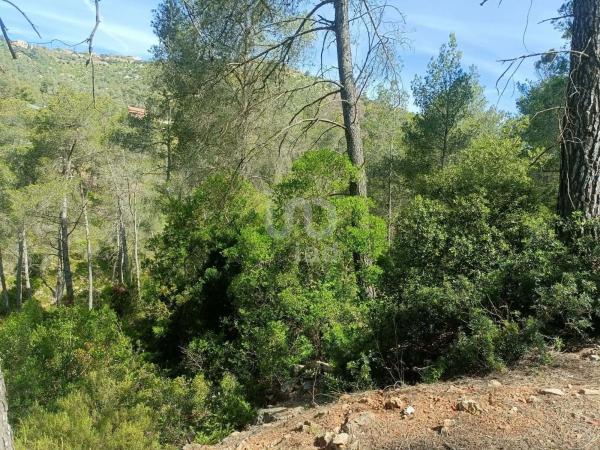 Terreno en Olesa de Bonesvalls