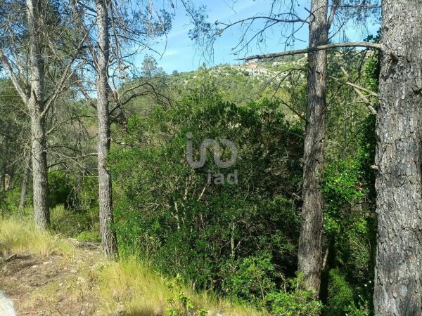 Terreno en Olesa de Bonesvalls