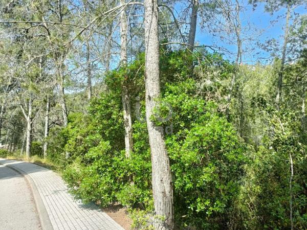 Terreno en Olesa de Bonesvalls