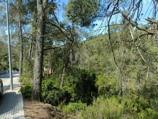 Terreno en Olesa de Bonesvalls