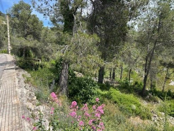 Terreno en calle Solei, 22