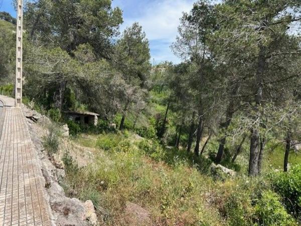 Terreno en calle Solei, 22