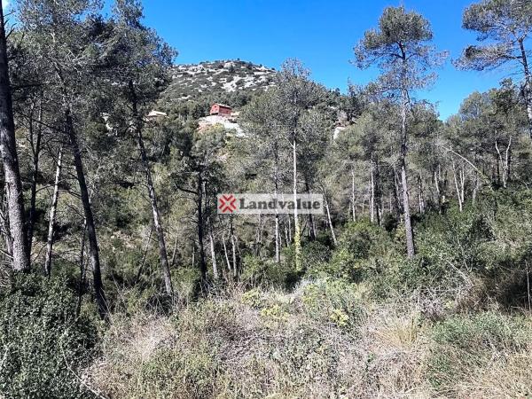 Terreno en calle Obagues, 3