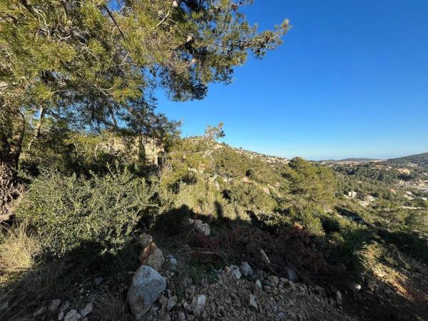 Terreno en calle Serral Llarg