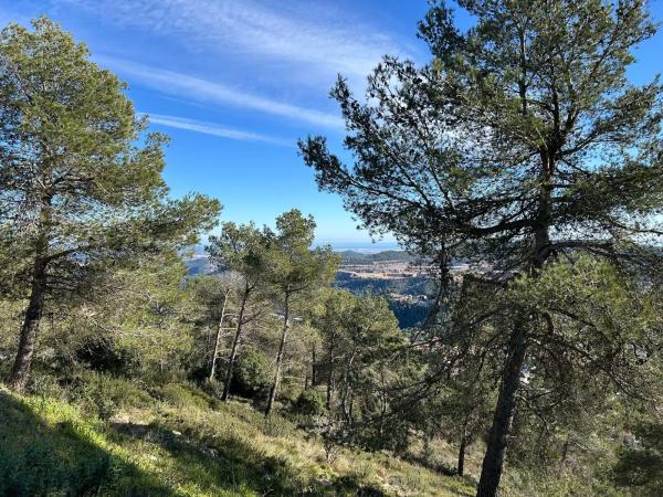 Terreno en calle Serral Llarg, 136