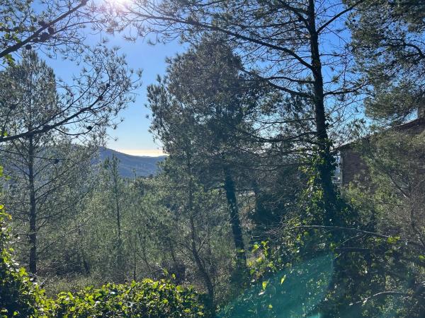 Terreno en calle Serral Llarg, 136