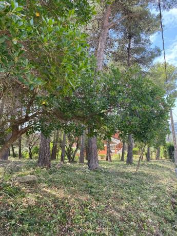 Terreno en calle Sant Sever, 45