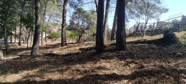 Terreno en calle Sant Sever, 45