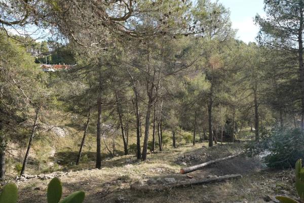 Terreno en calle Solei