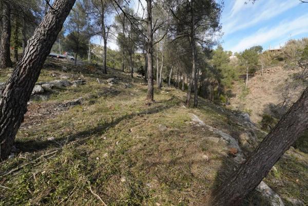 Terreno en calle Solei