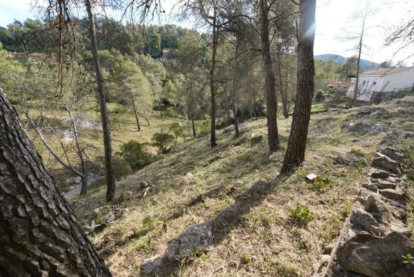 Terreno en calle Solei